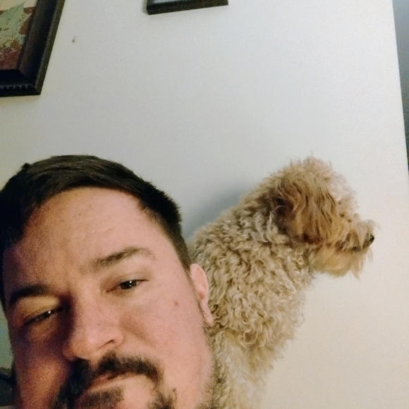 Meet your Posher, David - Picture 2 of 2